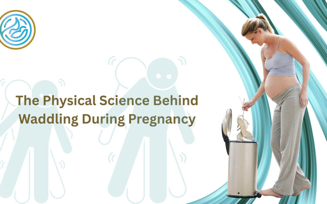 The Physical Science Behind Waddling During Pregnancy