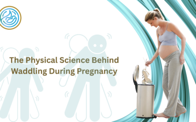The Physical Science Behind Waddling During Pregnancy
